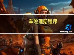 车险理赔程序