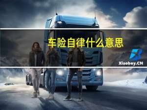 车险自律什么意思