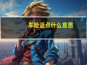 车险 返点 什么意思