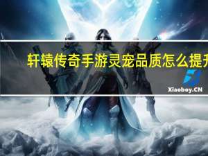 轩辕传奇手游灵宠品质怎么提升（《轩辕传奇》灵宠养成心得）