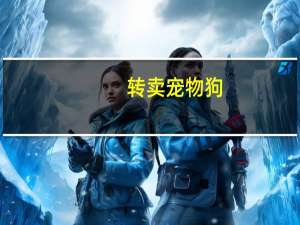转卖宠物狗