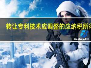 转让专利技术应调整的应纳税所得额