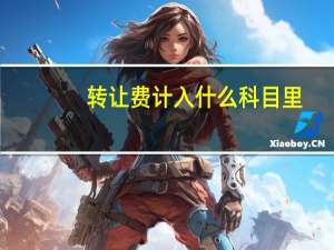 转让费计入什么科目里（转让费计入什么科目）