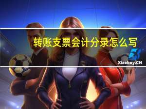 转账支票会计分录怎么写