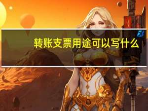 转账支票用途可以写什么
