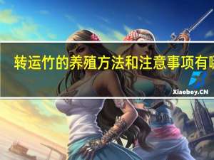 转运竹的养殖方法和注意事项有哪些