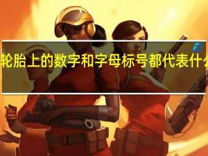 轮胎上的数字和字母标号都代表什么意思