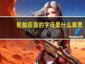 轮胎后面的字母是什么意思