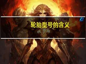 轮胎型号的含义