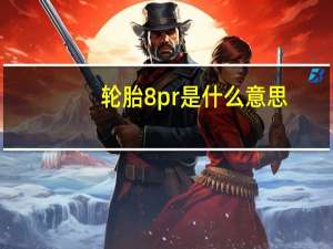 轮胎8pr是什么意思