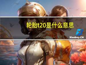 轮胎t20是什么意思