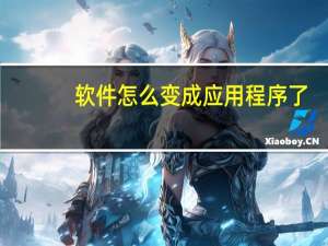 软件怎么变成应用程序了