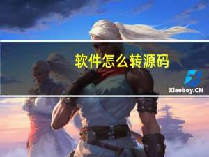 软件怎么转源码