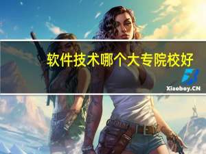 软件技术哪个大专院校好