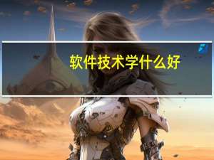 软件技术学什么好