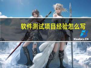 软件测试项目经验怎么写