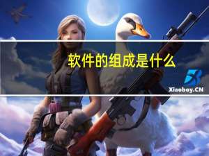软件的组成是什么