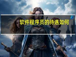 软件程序员的待遇如何