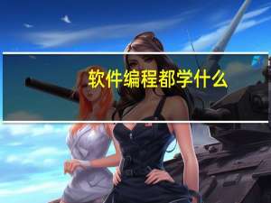 软件编程都学什么