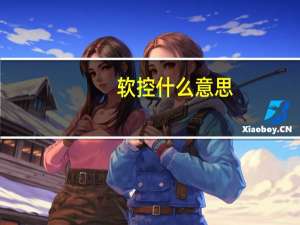 软控什么意思