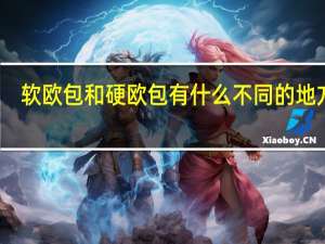 软欧包和硬欧包有什么不同的地方吗