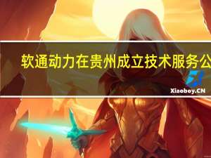 软通动力在贵州成立技术服务公司