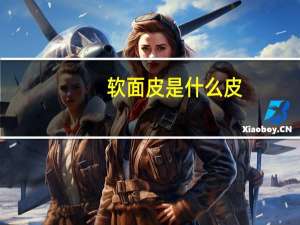 软面皮是什么皮