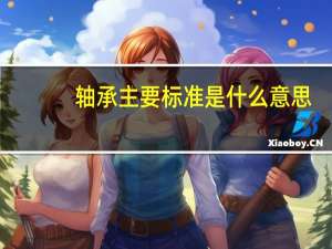 轴承主要标准是什么意思