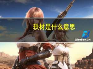 轶材是什么意思