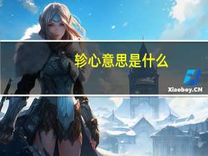 轸心意思是什么
