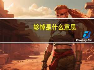 轸悼是什么意思