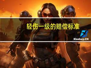 轻伤一级的赔偿标准