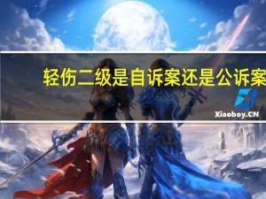 轻伤二级是自诉案还是公诉案