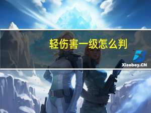 轻伤害一级怎么判