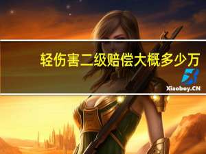 轻伤害二级赔偿大概多少万