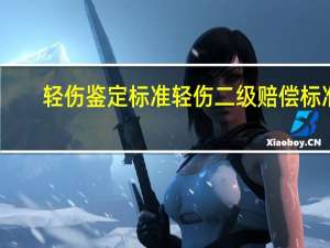 轻伤鉴定标准轻伤二级赔偿标准（轻伤鉴定标准）