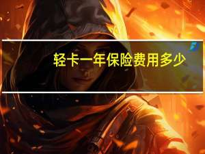 轻卡一年保险费用多少