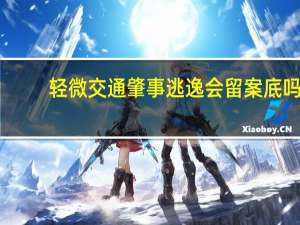 轻微交通肇事逃逸会留案底吗