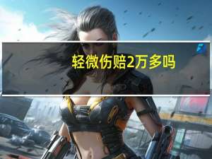 轻微伤赔2万多吗