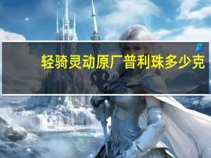 轻骑灵动原厂普利珠多少克（轻骑灵动）