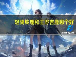 轻骑铃鹿和王野吉鹿哪个好
