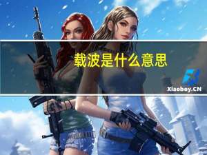 载波是什么意思