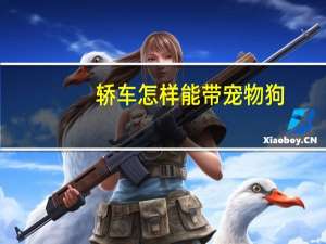 轿车怎样能带宠物狗