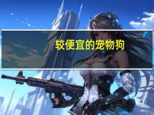 较便宜的宠物狗