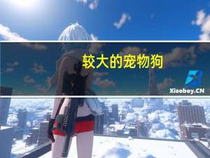 较大的宠物狗