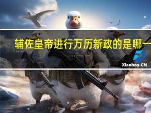 辅佐皇帝进行万历新政的是哪一个