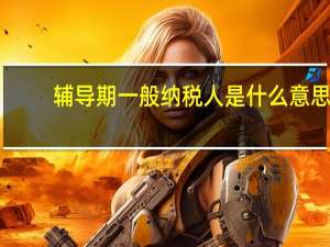 辅导期一般纳税人是什么意思