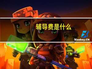 辅导费是什么