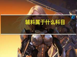辅料属于什么科目