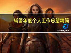 辅警年度个人工作总结精简（辅警年度个人工作总结）